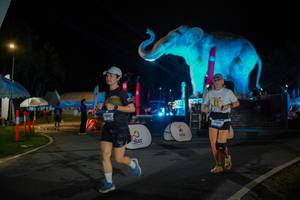 BIB: 
                            <button type="button" onclick="openModal(26552019)" class="btn btn-primary btn-sm float-right btn-popup" data-toggle="modal" data-target=".modal-high-quality">
                        <i class="fas fa-shopping-cart"></i> Add to Cart
                    </button>
                                            <button type="button" onclick="isThisMe(26552019, true)" class="btn btn-success btn-sm float-right btn-popup btn-isme hidden" data-toggle="tooltip" data-placement="bottom" title="นี่คือรูปของคุณใช่ไหม คลิกที่นี่เพื่อเอาเข้าอัลบั้ม">
                        <i class="fas fa-plus"></i> Add to album
                    </button>
                    <button type="button" onclick="isThisMe(26552019, false)" class="btn btn-warning btn-sm float-right btn-popup btn-isnotme hidden">
                        <i class="fas fa-ban"></i> Remove from album
                    </button>